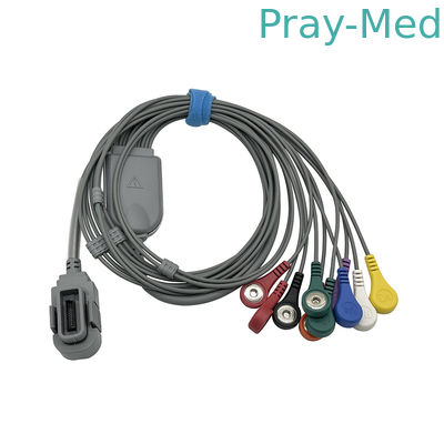 NORAV 10 الرصاص ECG هولتر كابل مع نهاية الصفحة 20pin المرفق