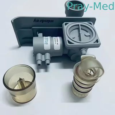 الاسم