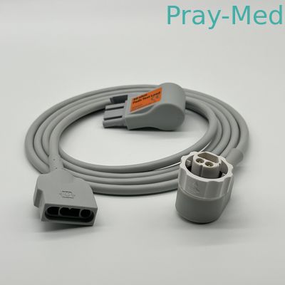 الاسم